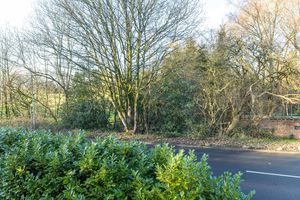 Front- click for photo gallery